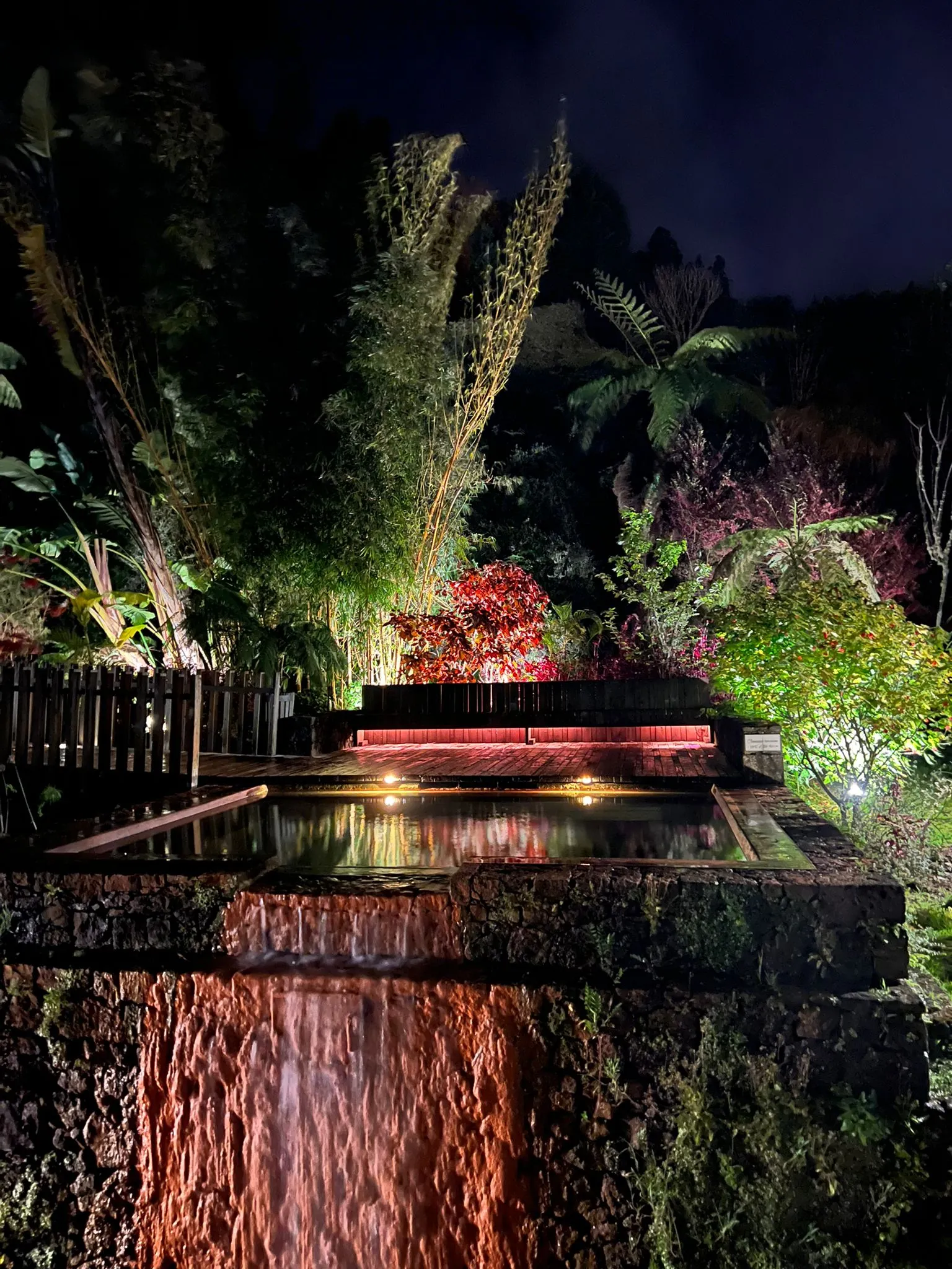 A outdoor thermal pool surrounded by vegetation, at night.