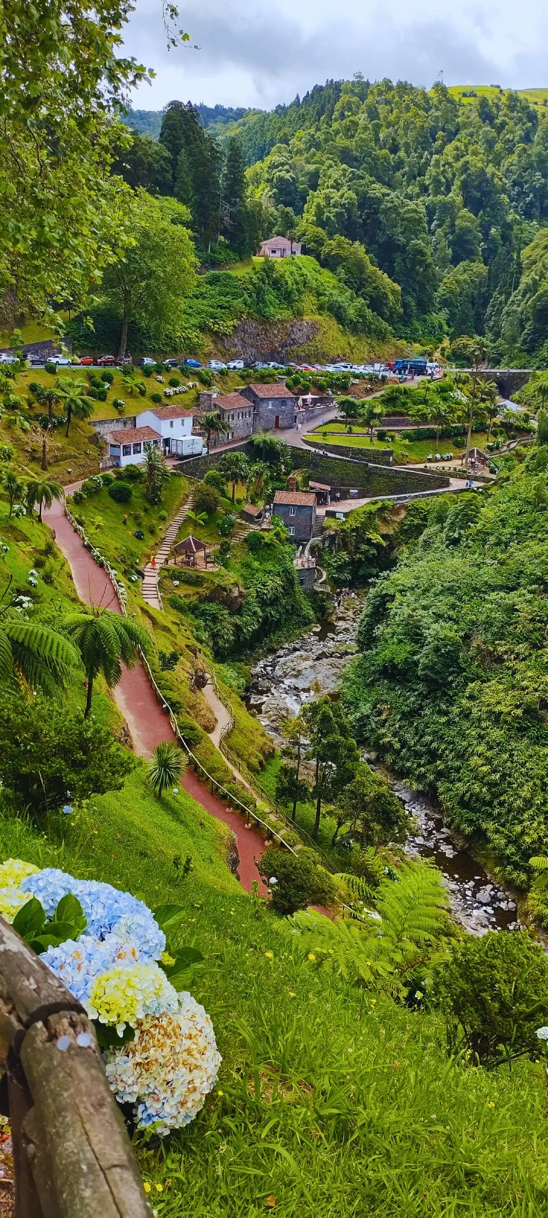 A valley with trails, water stream and water drops, with flowers growing to the sides.
