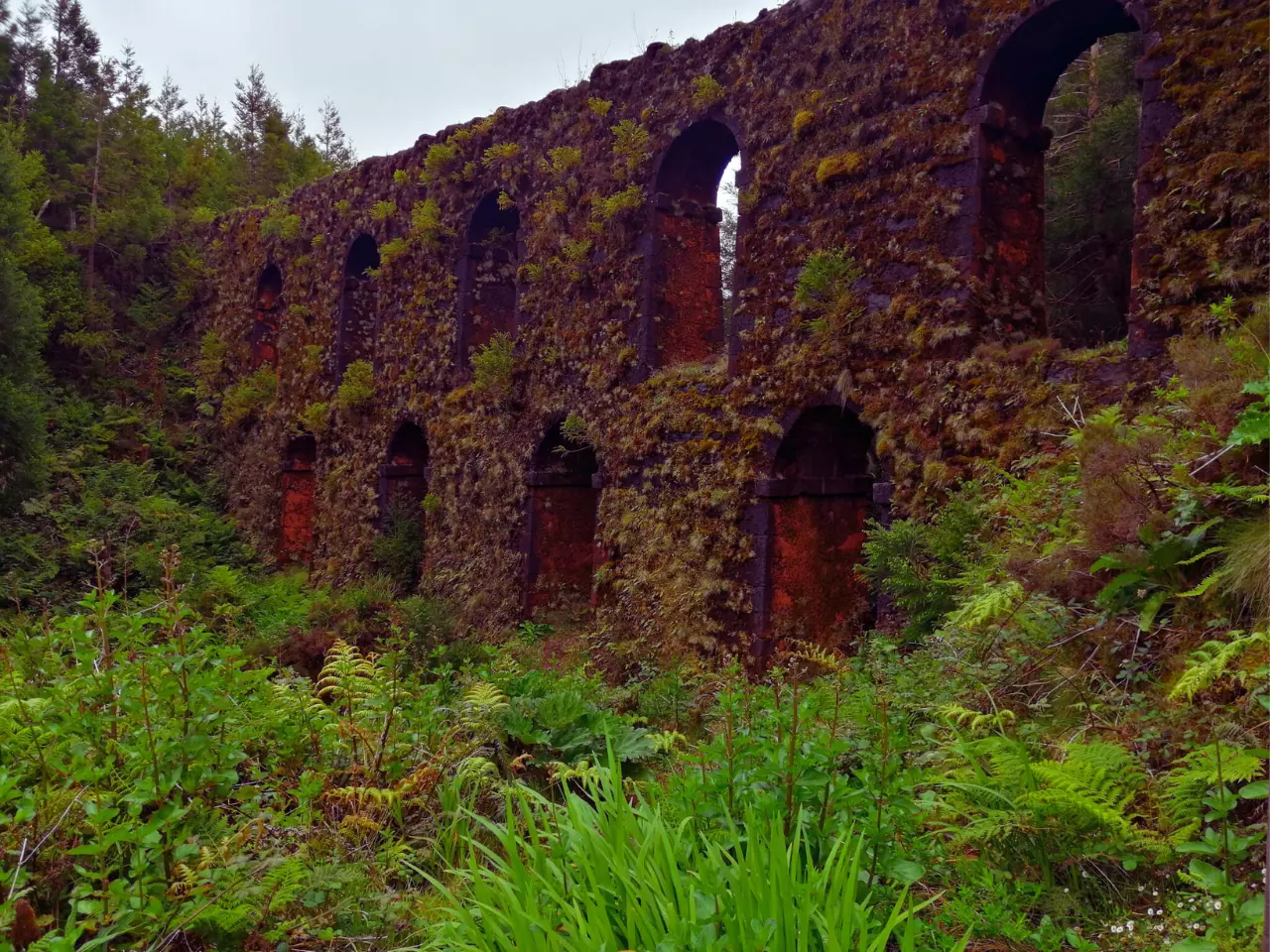 An old aqueduct with nine windows covered in moss.