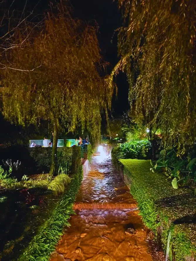 A stream of mineral water, with a orange bottom, surrounded by vegetation and lights at night.