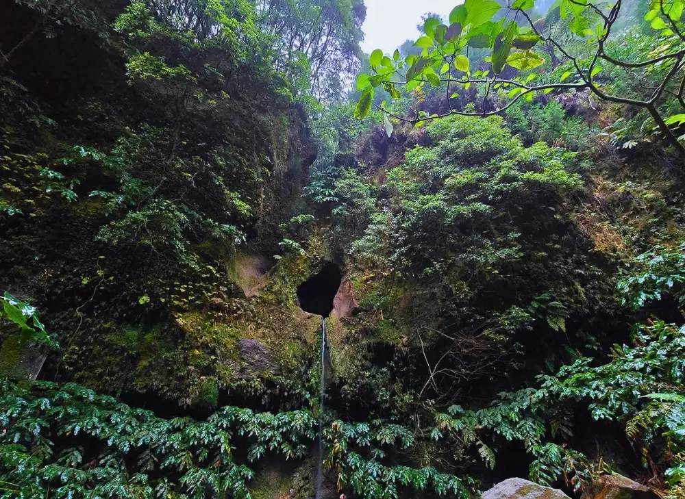 Janela do Inferno waterfall, São Miguel.