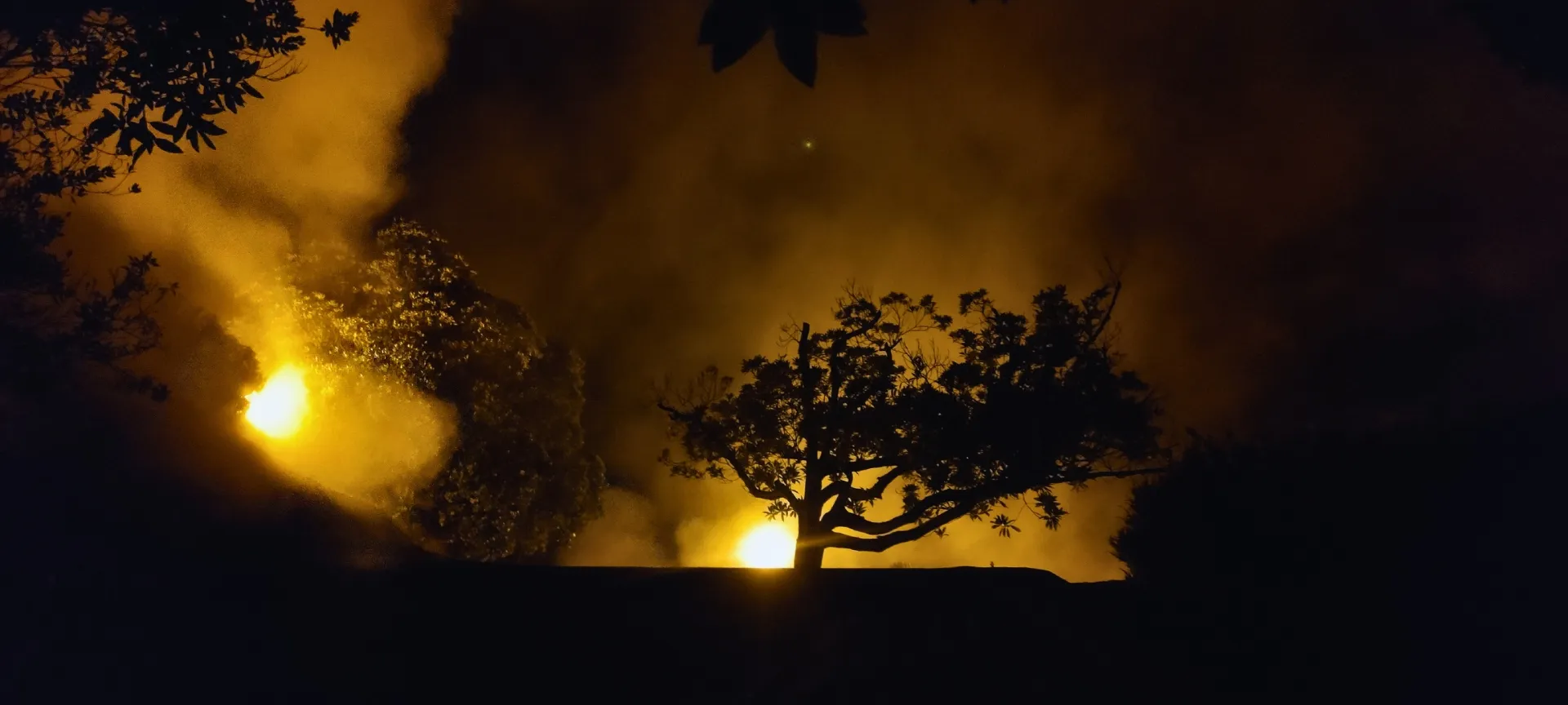 A tree silhouette in the night, reflecting from a yellow light behind and steam surrounding it.