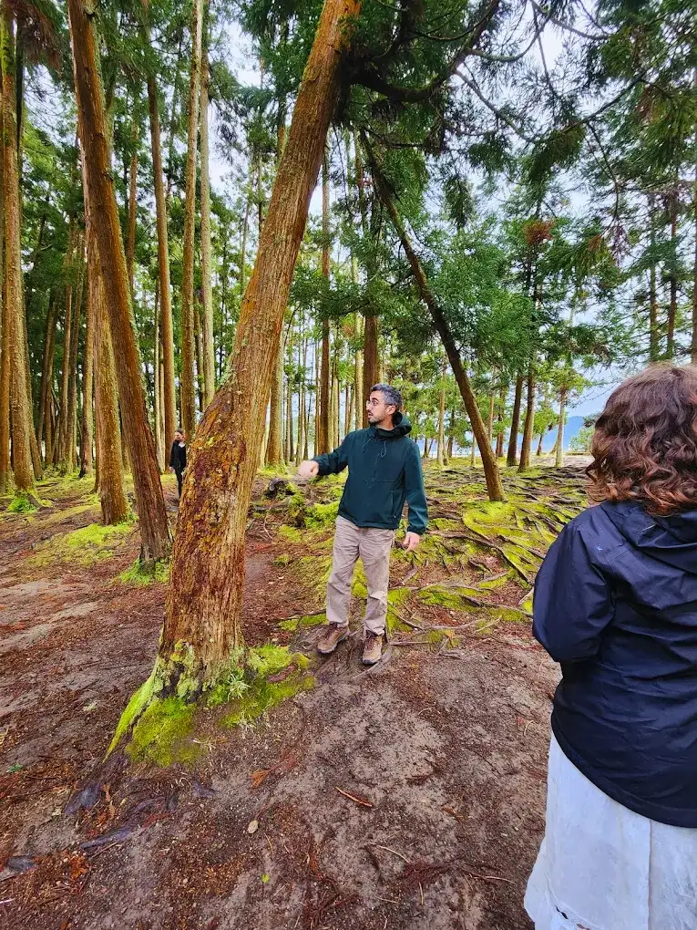 A nature guide explaining the local flora to a group of hikers.