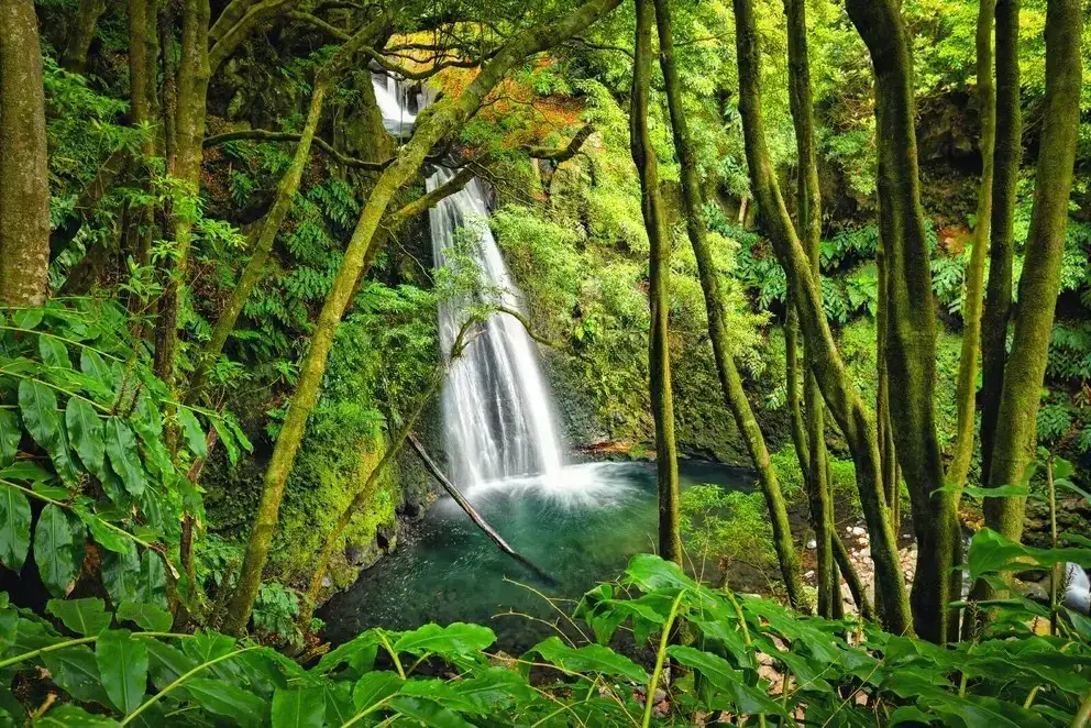Salto do Prego, São Miguel, Azores